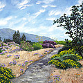 Los Gatos Trail through Wildflowers