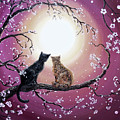 A Shared Moment