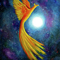 Cosmic Phoenix Rising