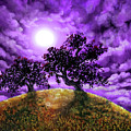Dreaming of Oak Trees