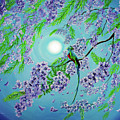 Quetzal Bird in Jacaranda Tree