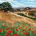Red Poppies and Wild Rye